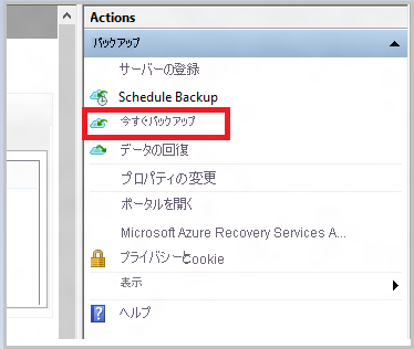 [今すぐバックアップ] を使用してオフライン バックアップを開始する方法を示すスクリーンショット。