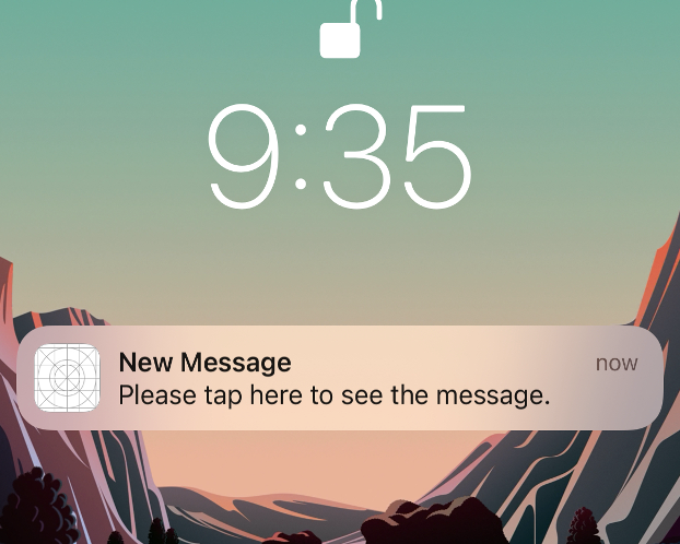 Screenshot of basic version of push notification.