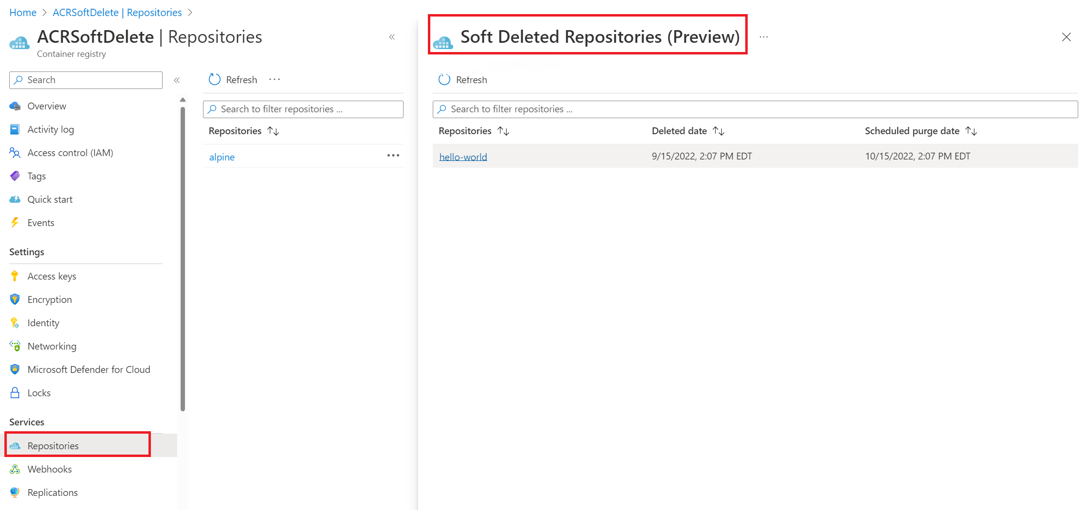 Screenshot of soft delete repositories.