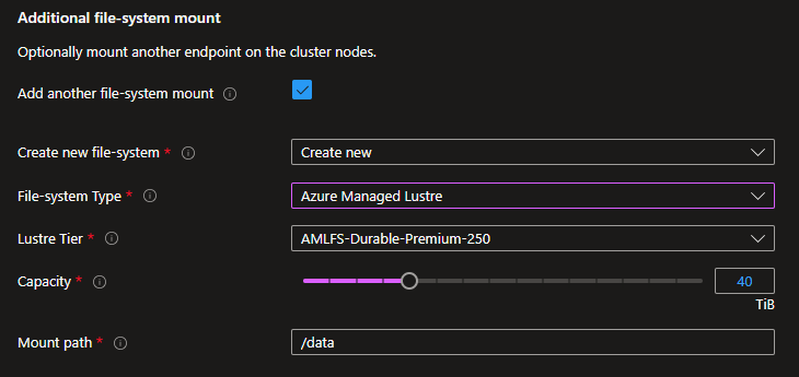 新しい Azure Managed Lustre を作成するための追加のファイル システム マウントのスクリーンショット。