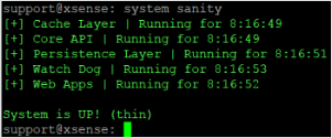 system sanity コマンドを示すスクリーンショット。