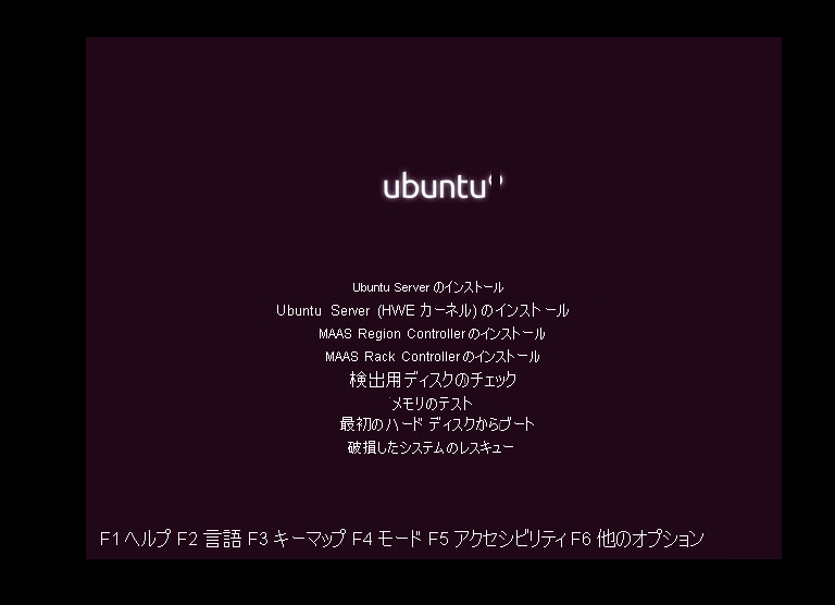 [Install Ubuntu Server]\(Ubuntu Server のインストール\) を選択する