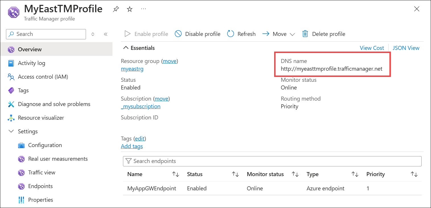 Traffic Manager プロファイルの DNS 名のスクリーンショット。