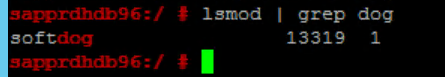 lsmod コマンドの実行結果が表示されたコンソール ウィンドウの部分を示すスクリーンショット。