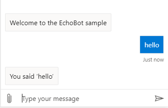 echo bot hello