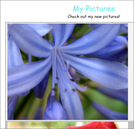 StylingIntro_PhotosAsImages 写真画像
