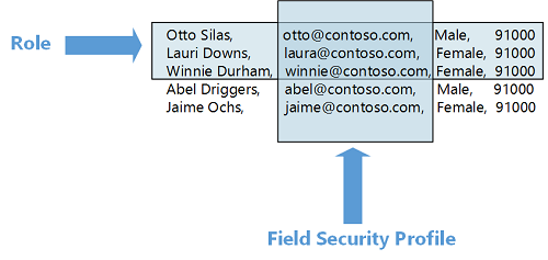 フィールド レベルのセキュリティと比較したロール ベースのセキュリティ。