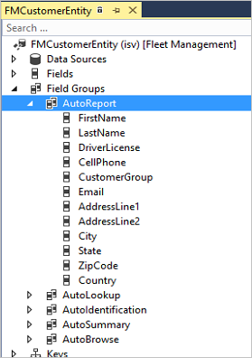 AutoReport フィールド グループの Visual Studio ビュー。