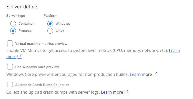 OS とサーバー タイプとして Windows プロセスが選択されているサーバーの詳細