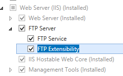 [F T P サーバー] ウィンドウと [Web Server I I S] ウィンドウが展開され、[F T P 拡張機能] が選択されているスクリーンショット。