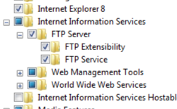 [F T P 拡張機能] と [F T P サービス] が選択された状態で展開された [インターネット インフォメーション サービスと F T P サーバー] ウィンドウの画像。