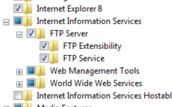 展開中の インターネット インフォメーション サービス フォルダーを示すコントロール パネルのスクリーンショット。F T P 機能拡張フォルダーが選択されています。