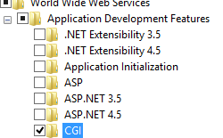 C G I チェック ボックスが強調表示されているインターネット インフォメーション サービスを示すスクリーンショット。