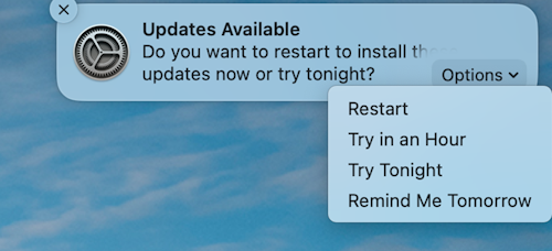 macOS Apple デバイスで更新プログラムが利用可能であることを示すサンプル通知。