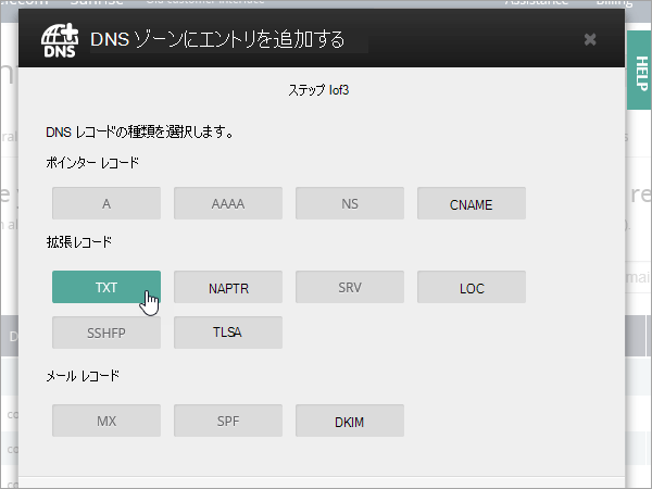 OVH で TXT エントリを選択します。