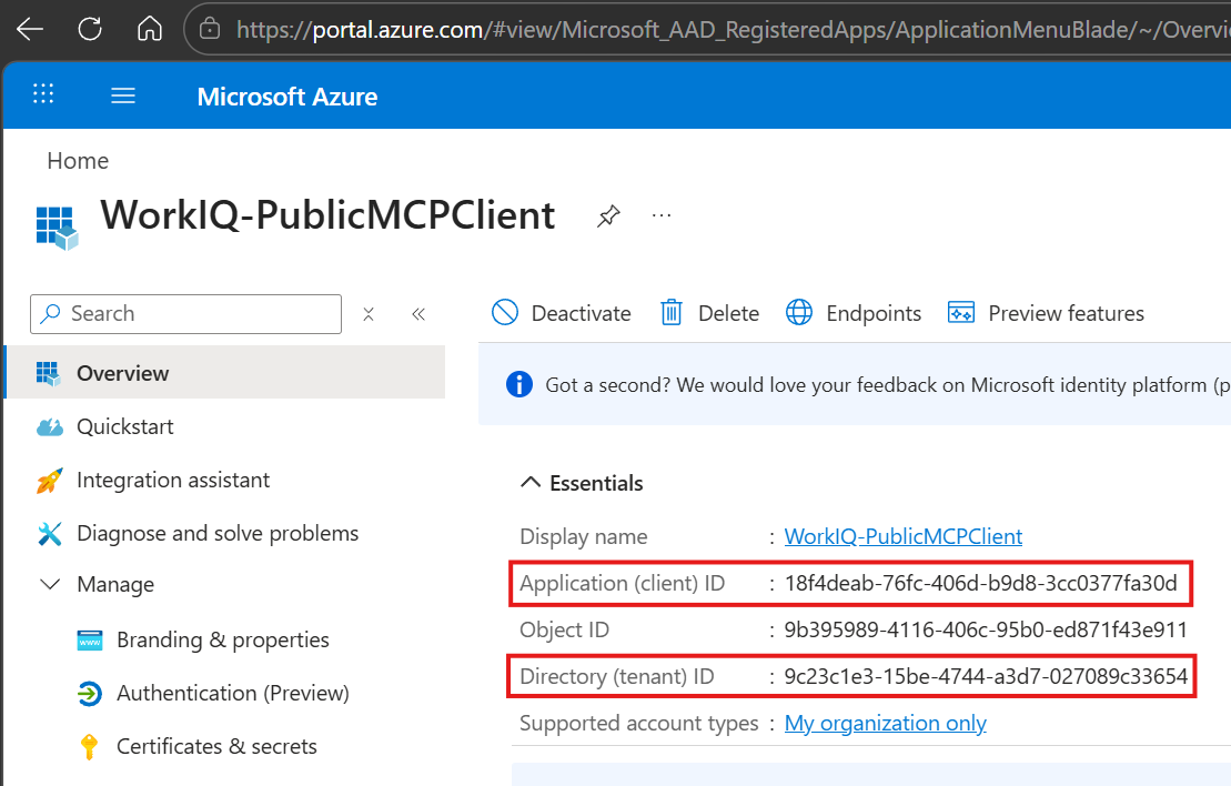 この画像は、WorkIQ-PublicMCPClient アプリケーションの概要を示す Microsoft Azure portal ページで、表示名、アプリケーション ID、オブジェクト ID、サポートされているアカウントの種類が表示されます。