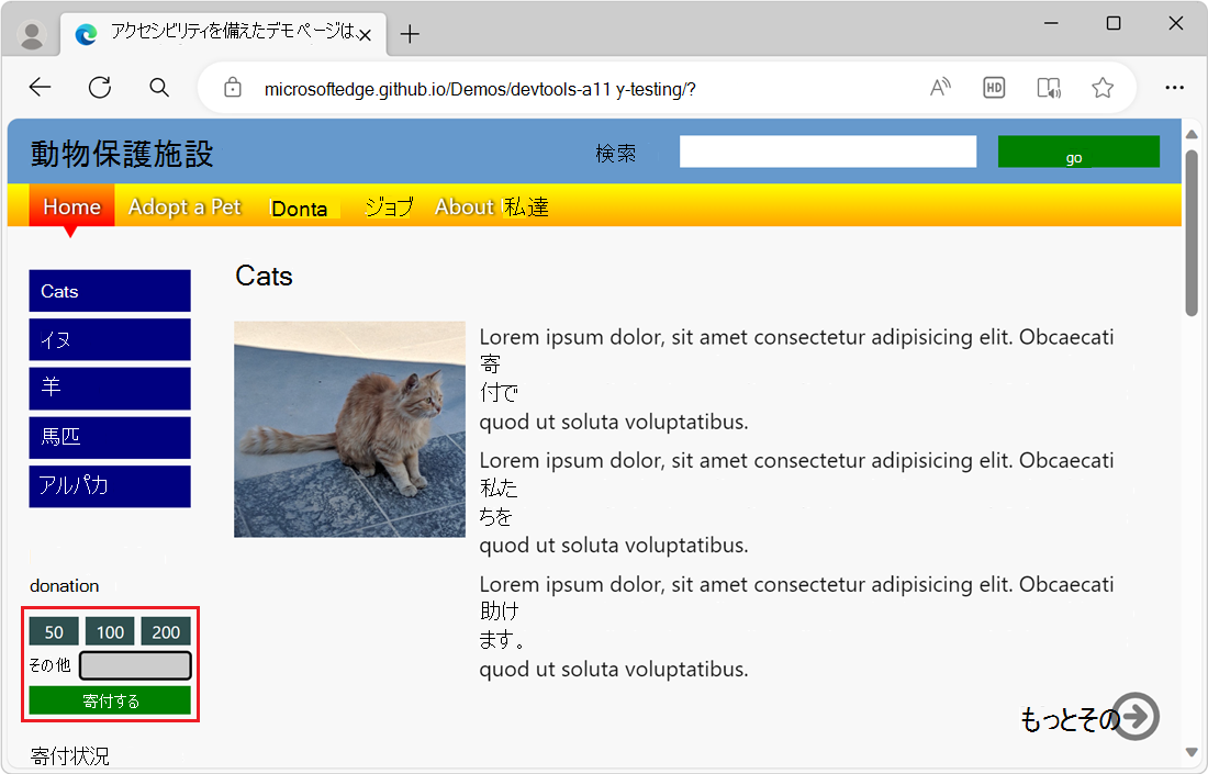 寄付フォームのキーボードでアクセスできる唯一の要素は、テキスト入力フィールドです