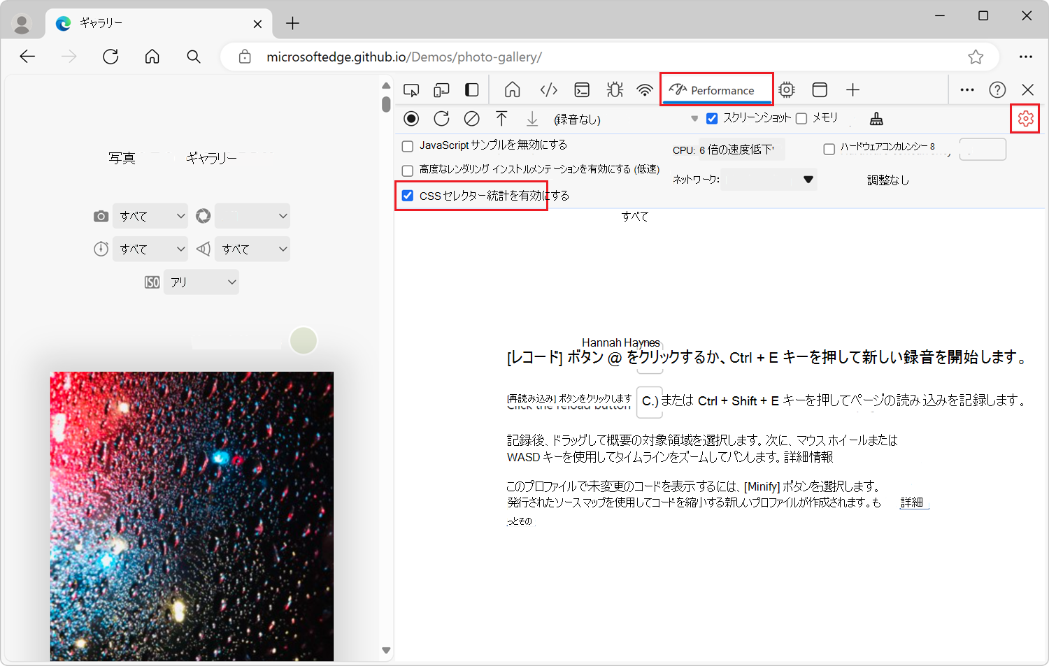 パフォーマンス ツールの [CSS セレクター統計を有効にする] チェック ボックス