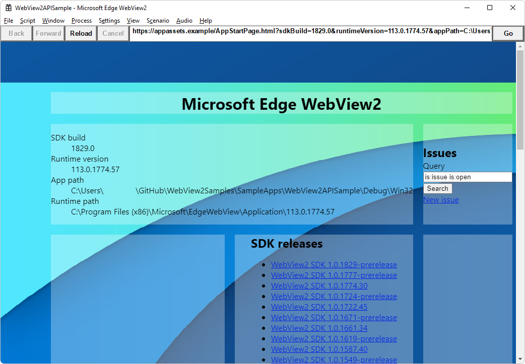 WebView2APISample アプリ ウィンドウに、WebView2 SDK のバージョンと WebView2 ランタイムのバージョンとパスが表示されている