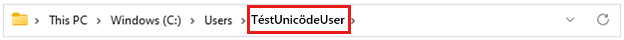 Unicode 文字を持つ Windows ユーザー プロファイル名へのパスのスクリーンショット。