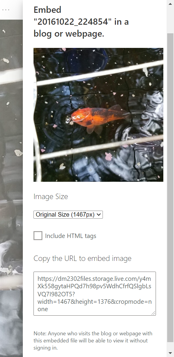 Screenshot of the generated embed image URL.