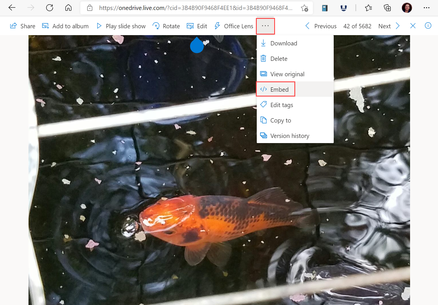Screenshot of an image on OneDrive, highlighting the More Options dropdown menu and the Embed selection.