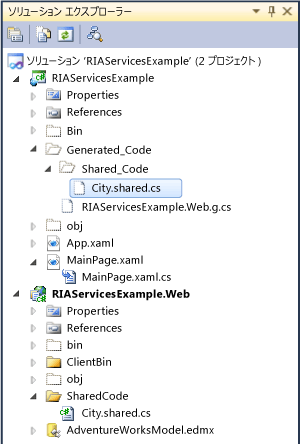 RIA_SharedCodeFile