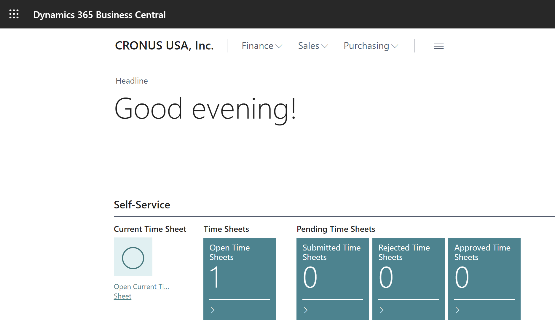 チーム メンバー ロール センターのセルフサービス アクティビティで新しい現在のタイム シートを開くアクションを表示しています。