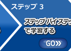 ステップ 3: ステップ バイ ステップで学習する