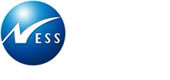 Ness Technologies, Inc.