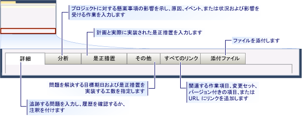 CMMI 懸案事項の作業項目フォーム - タブ