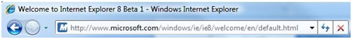 図 7. Internet Explorer 8 でのドメイン名のハイライト表示のイメージ