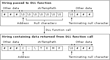 DLL 関数に渡される文字列