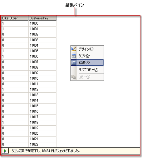 Analysis Services DMX クエリ デザイナ、結果ビュー