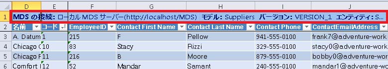 Excel - MDS 接続の詳細の表示