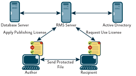 Figure 1 Rights Management Components