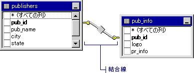 クエリ発行 PubInfo 結合線