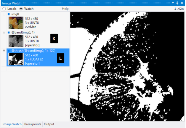 Screenshot of Image Watch operators.
