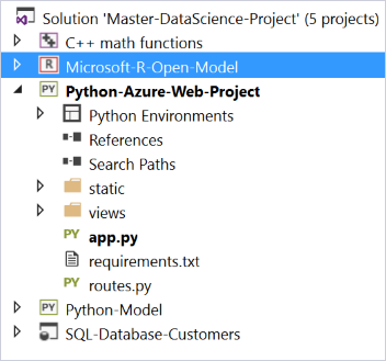 Visual Studio Solution Explorer showing multiple related projects in a solution