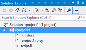 Contents of an R project created from the template