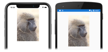 イメージを表示するイメージ ビュー iOS および Android でのイメージのスクリーンショット