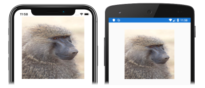 プラットフォームごとにサイズ設定されるイメージ iOS および Android でサイズの異なるイメージのスクリーンショット