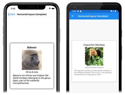 CarouselView 内のテンプレート化された項目 iOS と Android 上での、各項目がテンプレート化されている CarouselView のスクリーンショット
