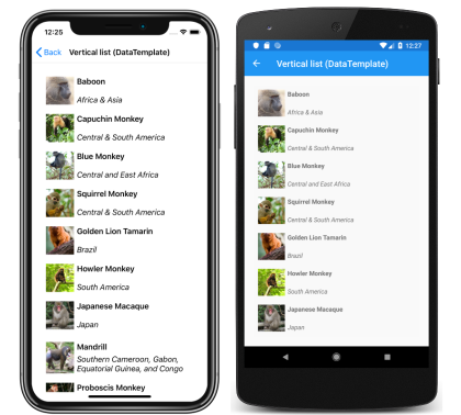 CollectionView 内のテンプレート化された項目 iOS と Android 上での各項目がテンプレート化されている CollectionView のスクリーンショット