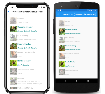 CollectionView でのランタイム項目テンプレート選択 iOS と Android 上での CollectionView ランタイム項目テンプレート選択のスクリーンショット