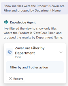 ビューの概要を示すチャット ボックスのスクリーンショット。