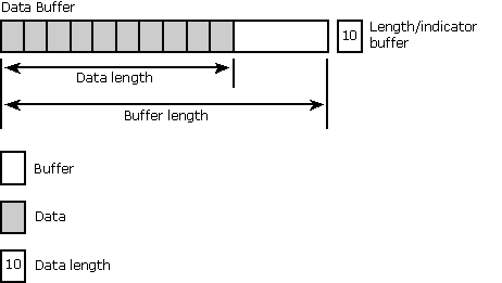 Data buffer and length/indicator buffer