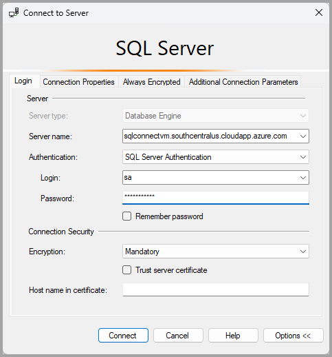SQL 仮想マシンの接続ダイアログを示すスクリーンショット。