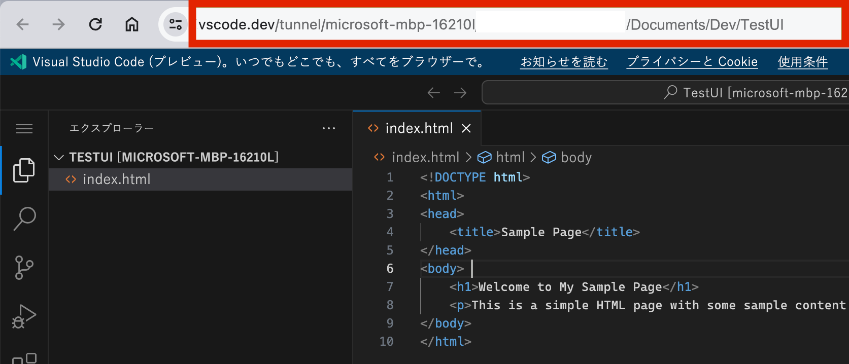 クライアント ビューのスクリーンショット。