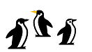 Diagram of three penguins.